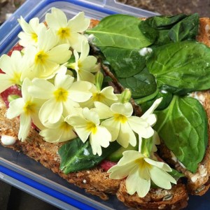 Salami and Primrose Sandwich - Delicious!